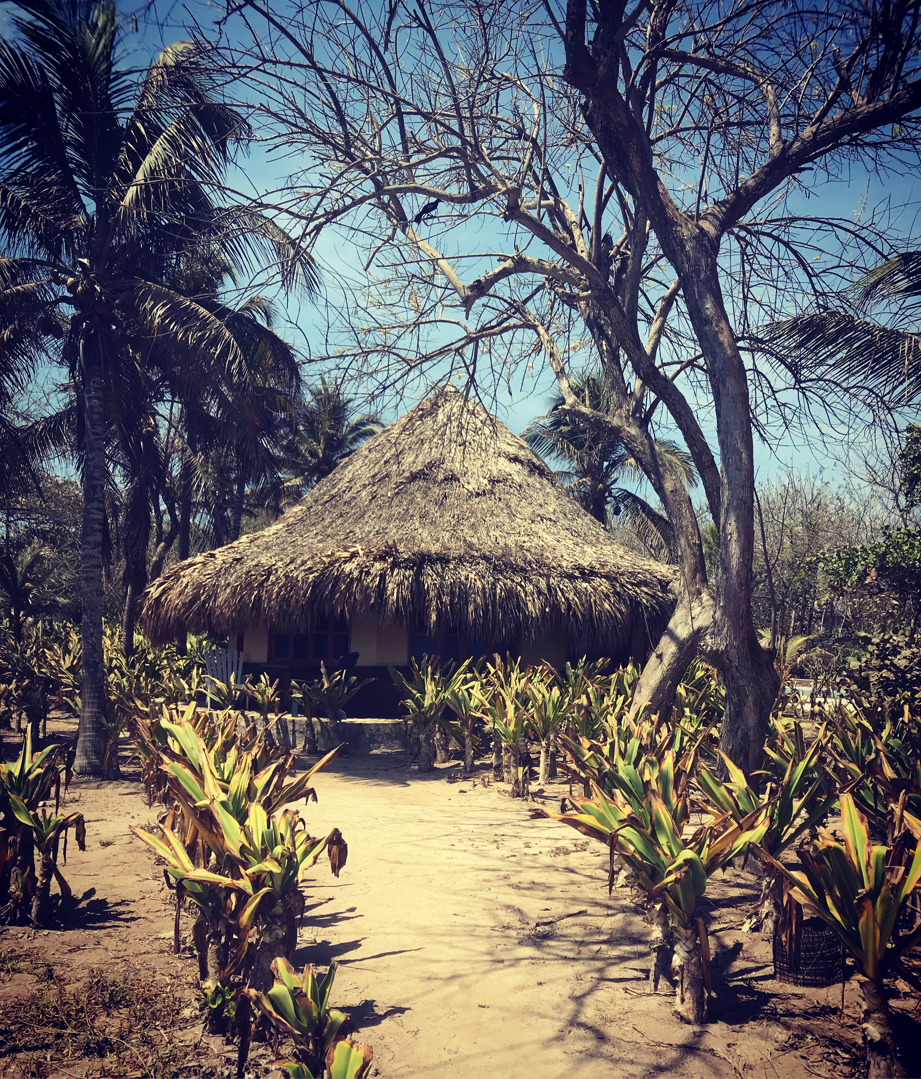 the huts on isla del pirata.
